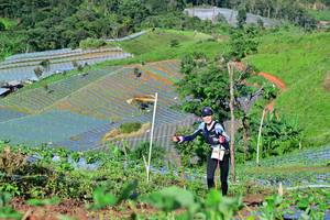 BIB: 
                            <button type="button" onclick="openModal(13379313)" class="btn btn-primary btn-sm float-right btn-popup" data-toggle="modal" data-target=".modal-high-quality">
                        <i class="fas fa-shopping-cart"></i> Add to Cart
                    </button>
                                            <button type="button" onclick="isThisMe(13379313, true)" class="btn btn-success btn-sm float-right btn-popup btn-isme hidden" data-toggle="tooltip" data-placement="bottom" title="นี่คือรูปของคุณใช่ไหม คลิกที่นี่เพื่อเอาเข้าอัลบั้ม">
                        <i class="fas fa-plus"></i> Add to album
                    </button>
                    <button type="button" onclick="isThisMe(13379313, false)" class="btn btn-warning btn-sm float-right btn-popup btn-isnotme hidden">
                        <i class="fas fa-ban"></i> Remove from album
                    </button>